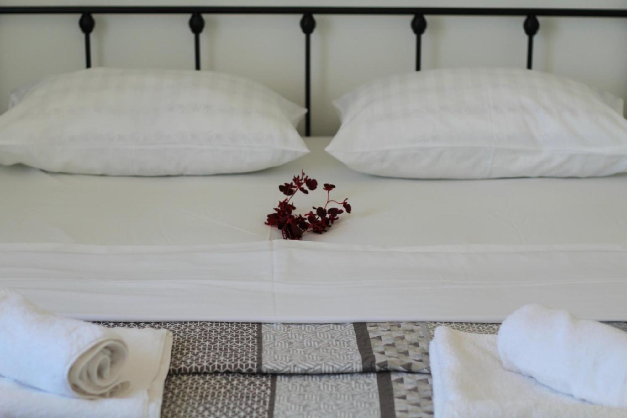 Apartment Nero Zadar
